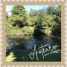 New Zealand 10x10cm Photo Magnet or Decal - Avon River Christchurch