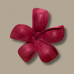 Pua Sei - Royal Petals